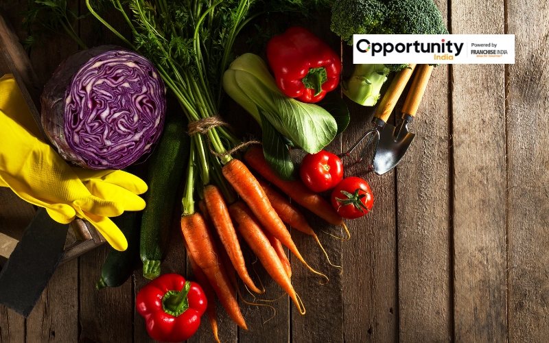 How to Start a Vegetable Farming Business?